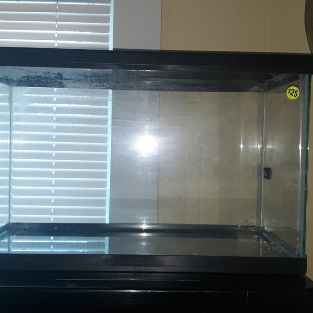 20 Gallon fish tank